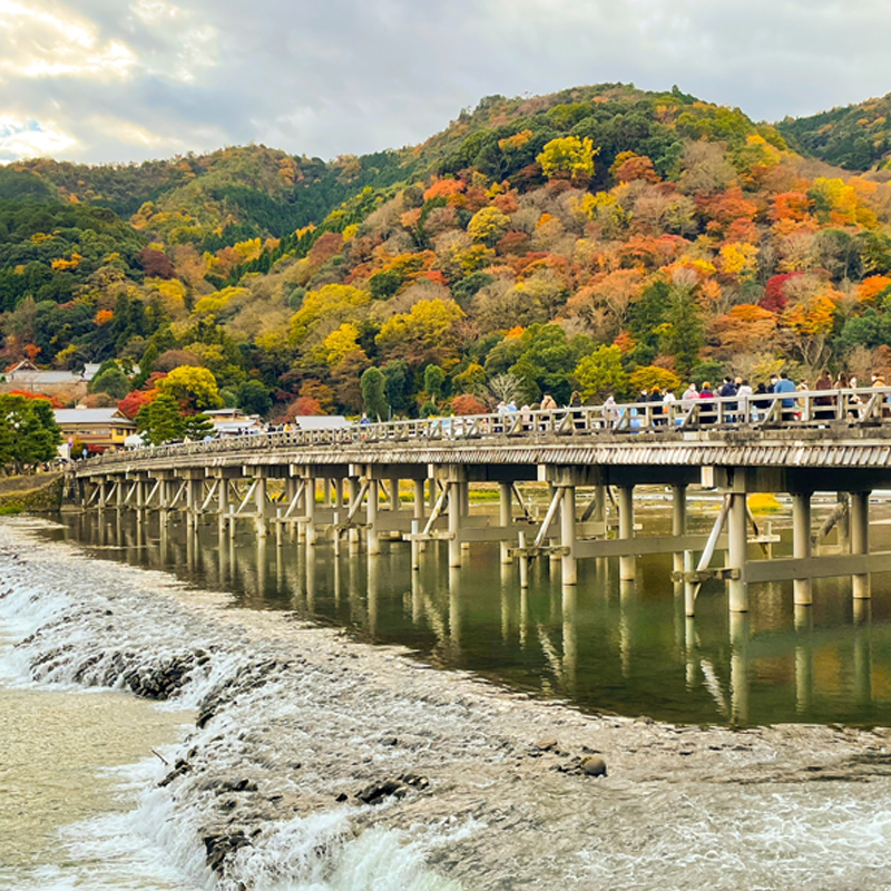 京都紅葉旅行 トロッコ電車 嵐山 隈部美千代のおやつ時間 お菓子教室 スイートリボン